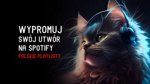 PROMOCJA TWOJEGO UTWORU NA PLAYLISTACH SPOTIFY