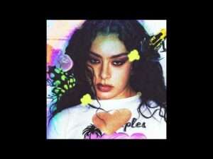 [FREE] Charli XCX x Hyperpop Type Beat - "CRUSH!"